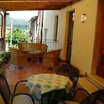 Picchio Orvieto