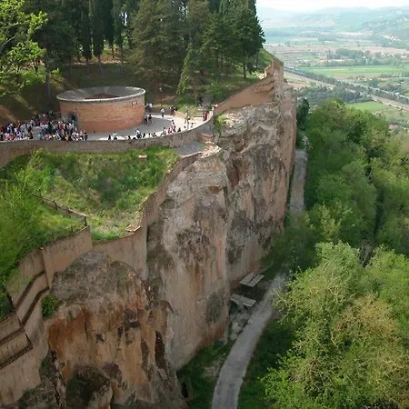 Picchio Orvieto
