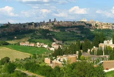 Picchio Orvieto
