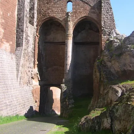 Picchio Orvieto