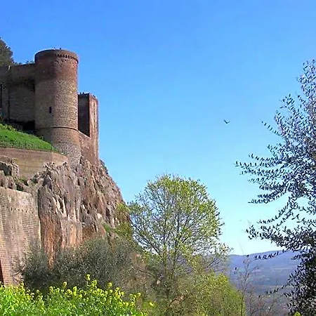 Picchio Orvieto