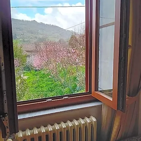 Picchio Szálloda 3*