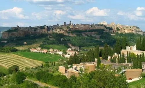 Picchio Orvieto
